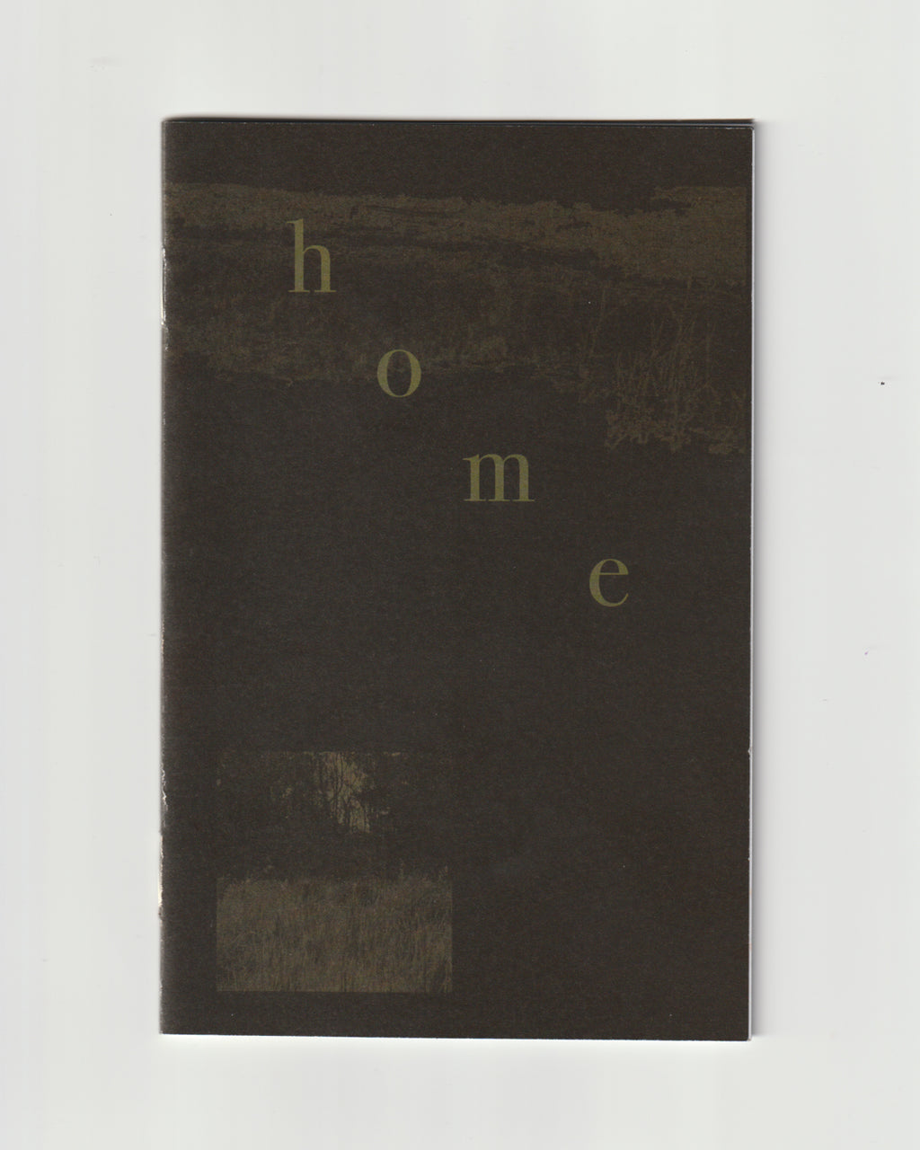 Home : a poetry book